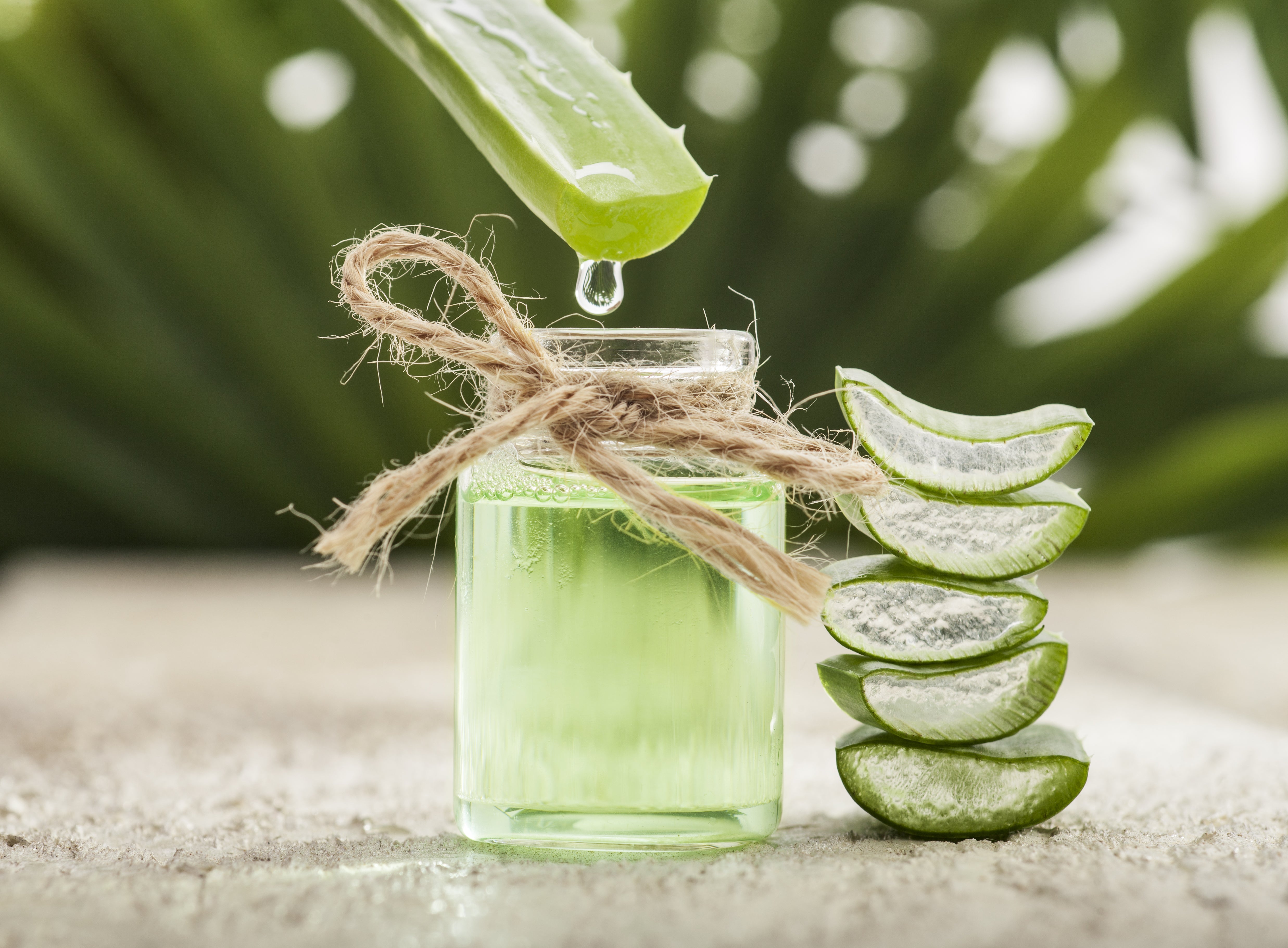 Para qu sirve el aloe vera?  Bioksan
