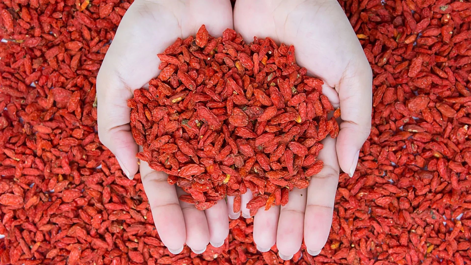 bayas de goji