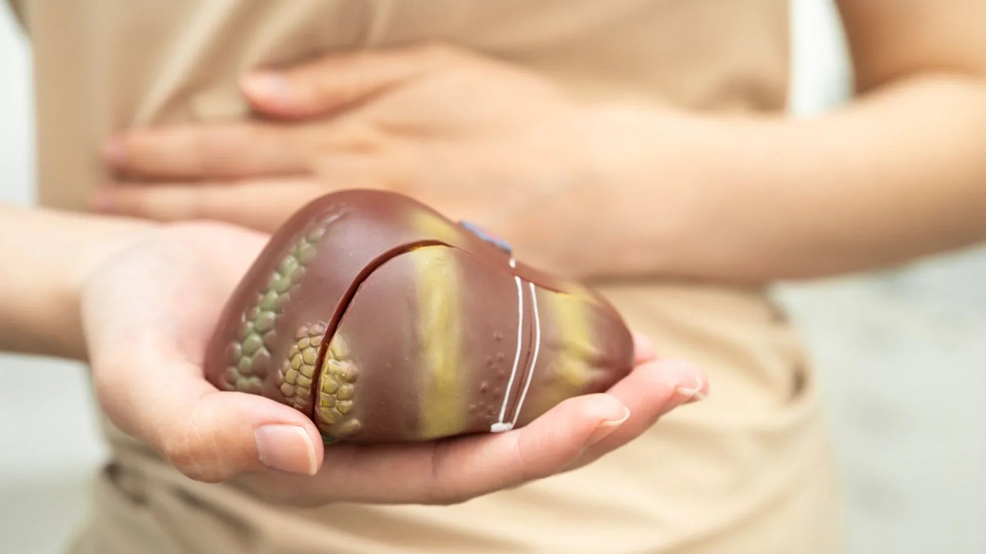 cómo cuidar hígado